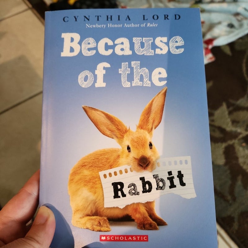 Because of the rabbit