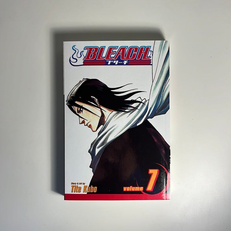 Bleach, Vol. 7