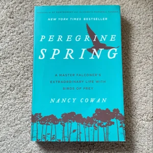 Peregrine Spring