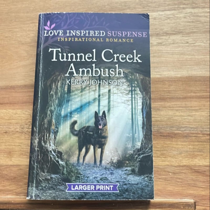 Tunnel Creek Ambush