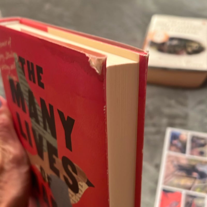 The Many Lives of Mama Love
