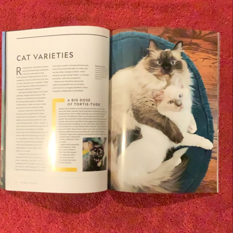 National Geographic The Secret Life of Cats