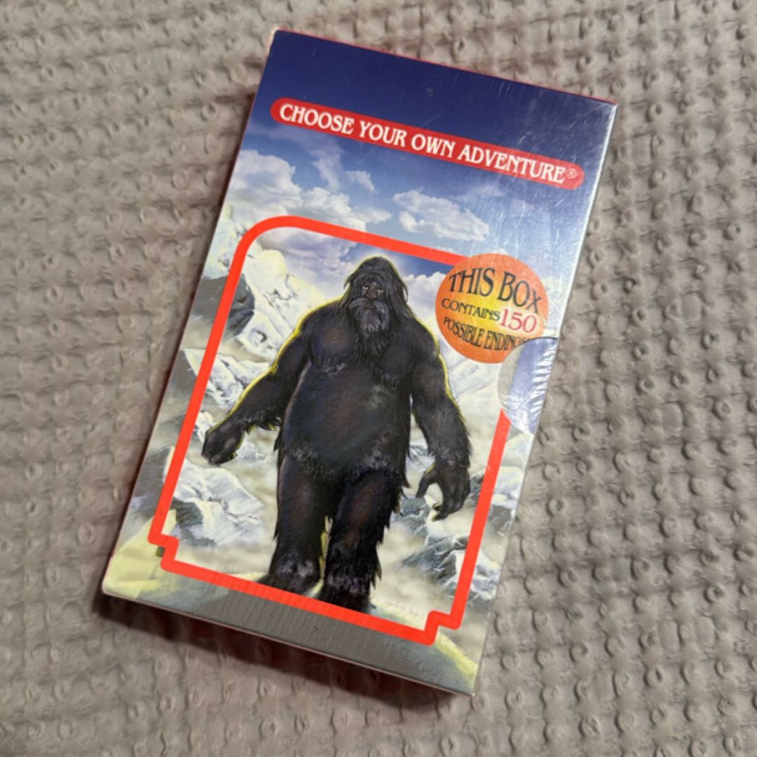 Choose Your Own Adventure