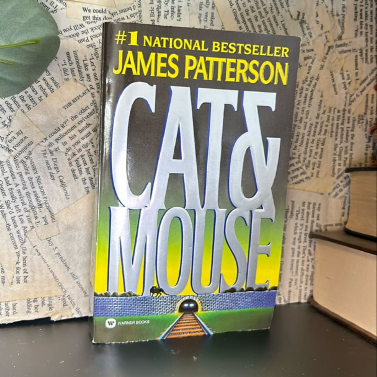 Cat and Mouse by James Patterson