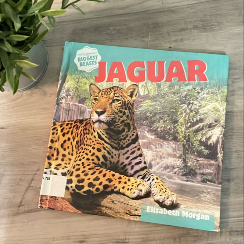 Jaguar