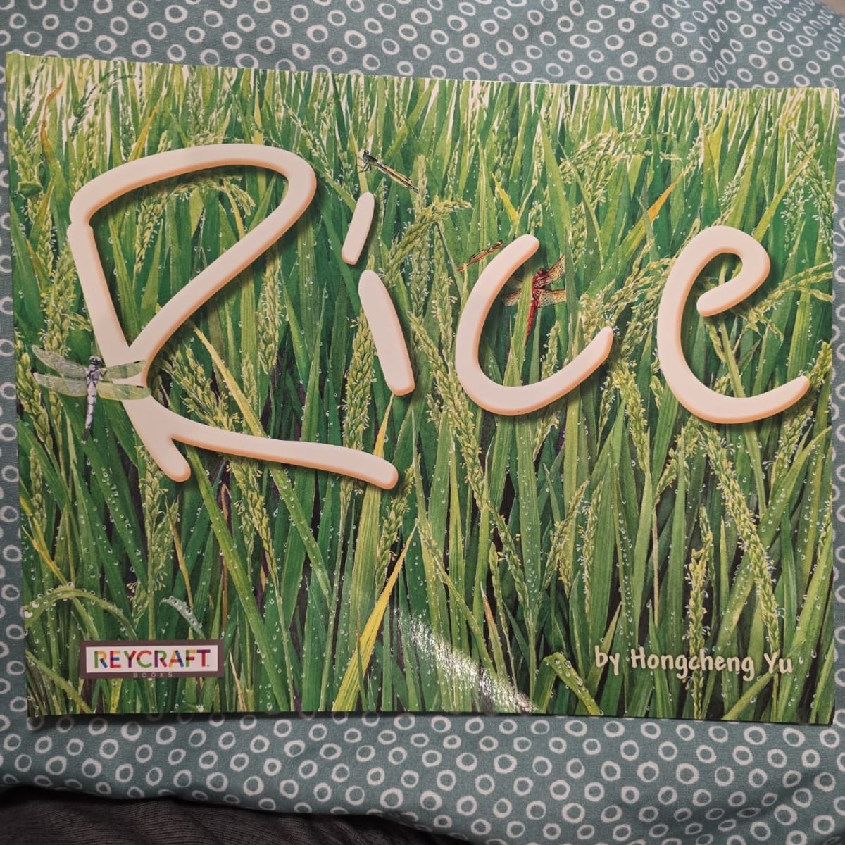 Rice by Hongcheng Yu