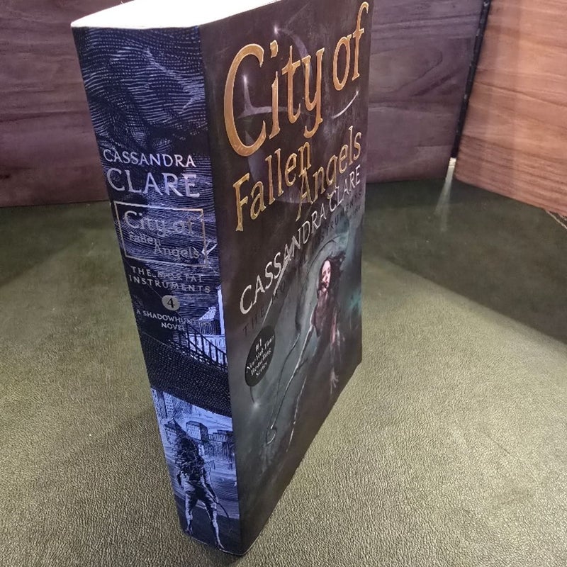 City of Fallen Angels