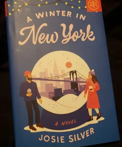 A Winter in New York