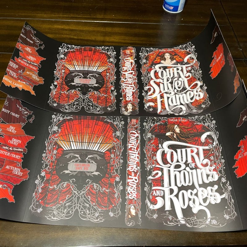 Nerdy Ink ACOTAR Dust jackets