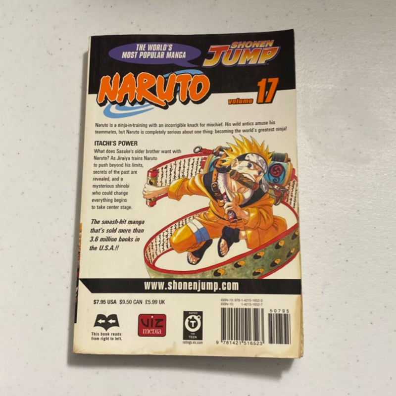 Naruto, Vol. 17