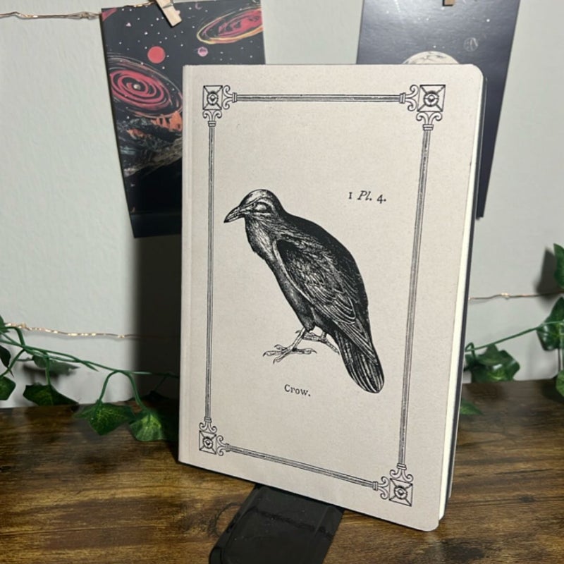 Crow Notebook