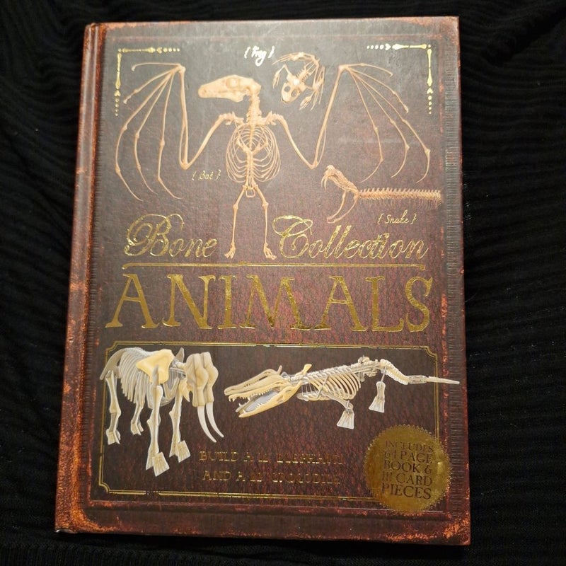 Bone Collection: Animals