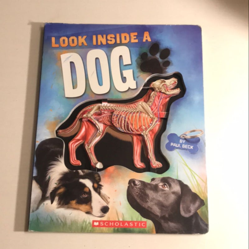 Look Inside A Dog 