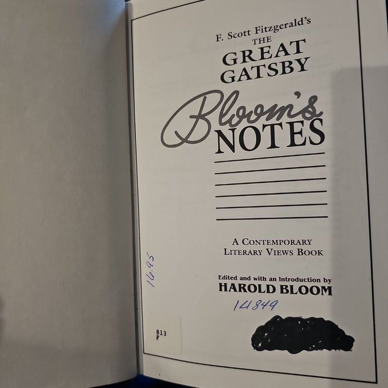The Great Gatsby Bloom's Notes