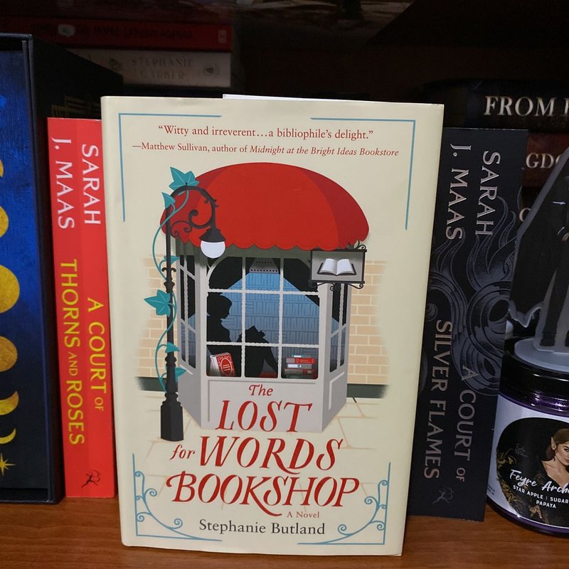 The Lost for Words by Stephanie Butland, Hardcover Pangobooks