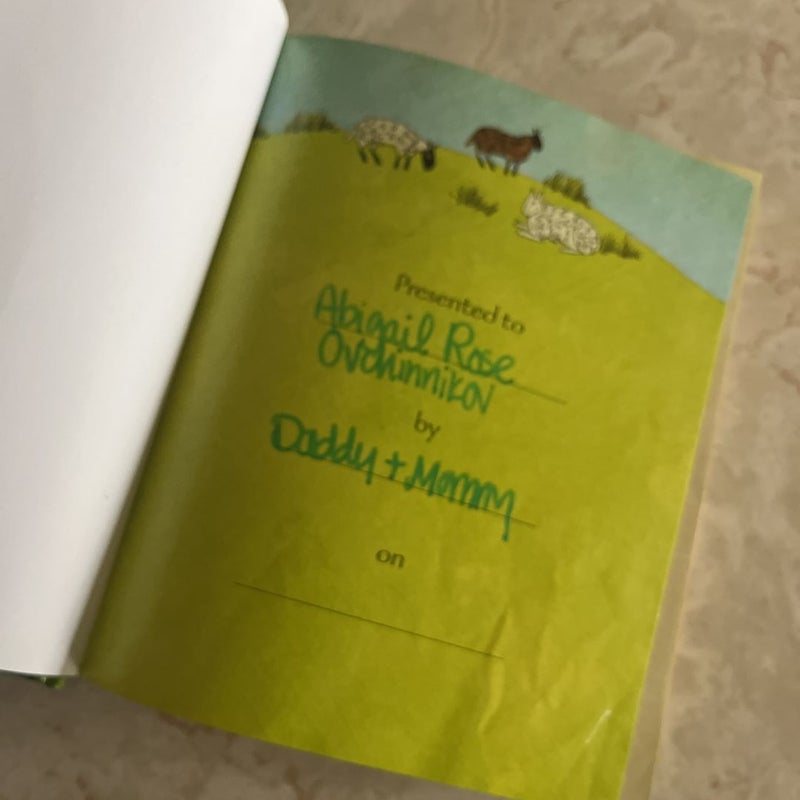 The Jesus Storybook Bible