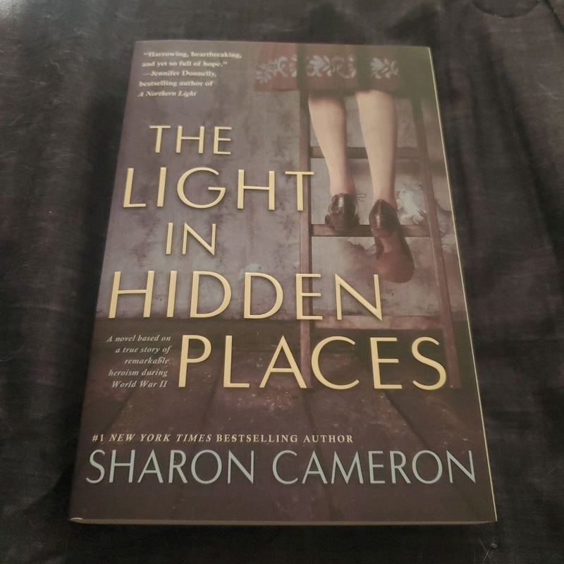 The Light In Hidden Places