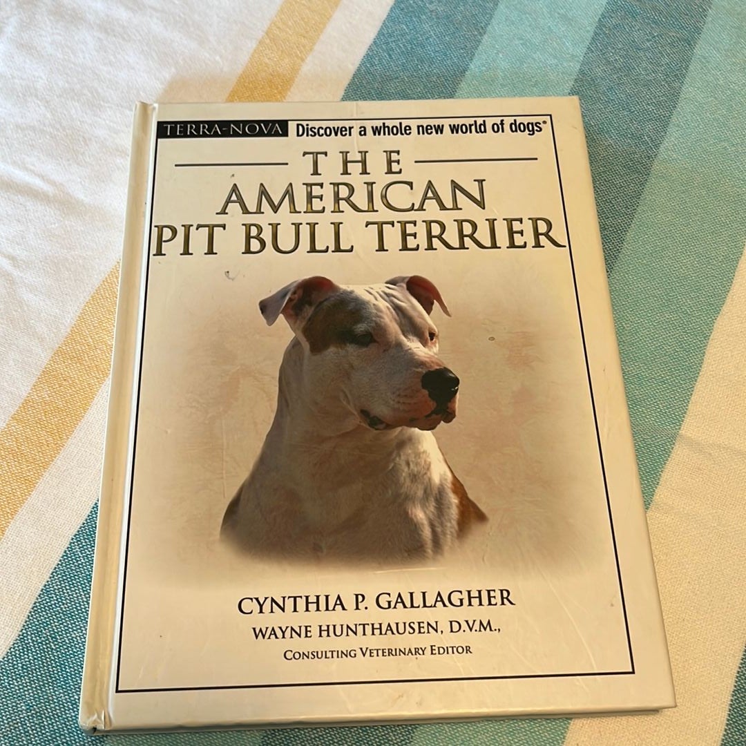 The American Pit Bull Terrier