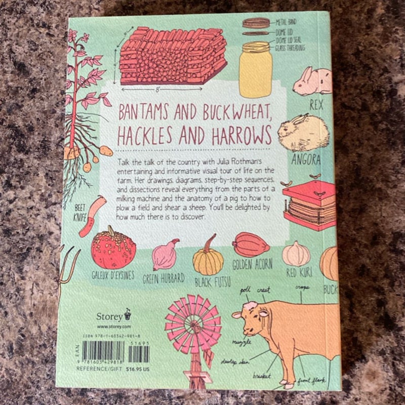 Farm Anatomy