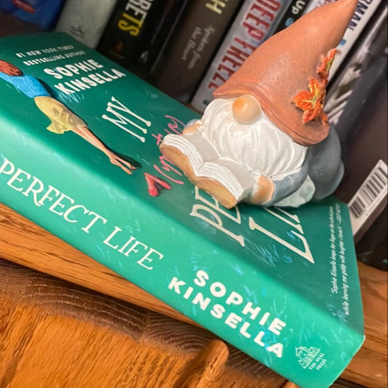 My Not So Perfect Life