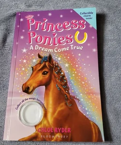 Princess Ponies A Dream Comes True children's book paperback 