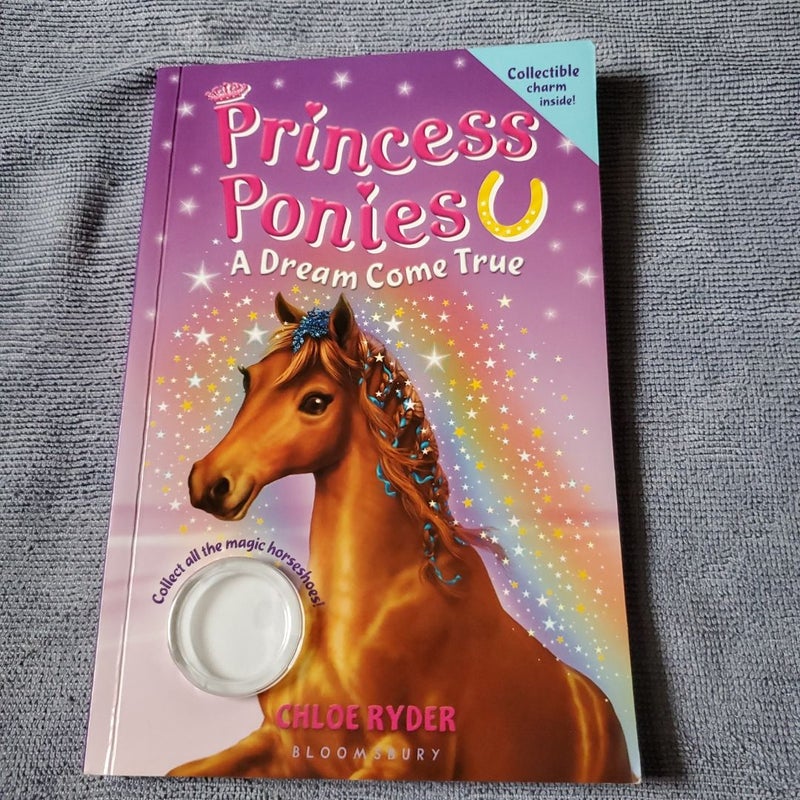 Princess Ponies A Dream Comes True children's book paperback 