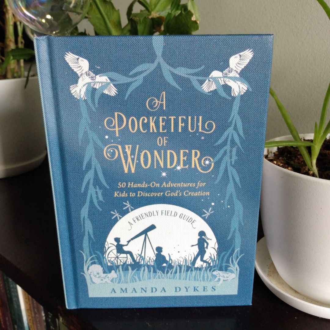 A Pocketful of Wonder