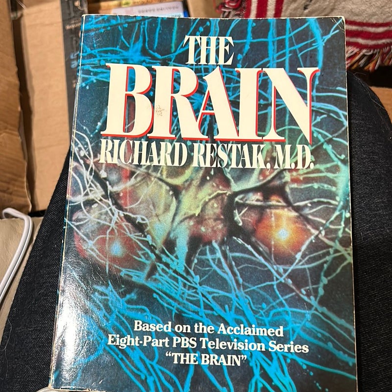 The Brain