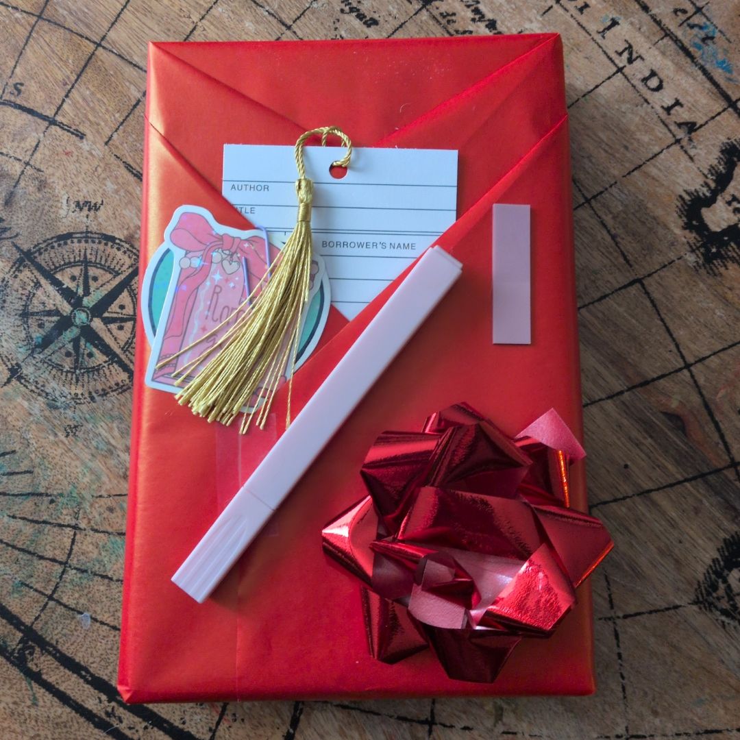 Holiday Blind Date with a Book ❄️