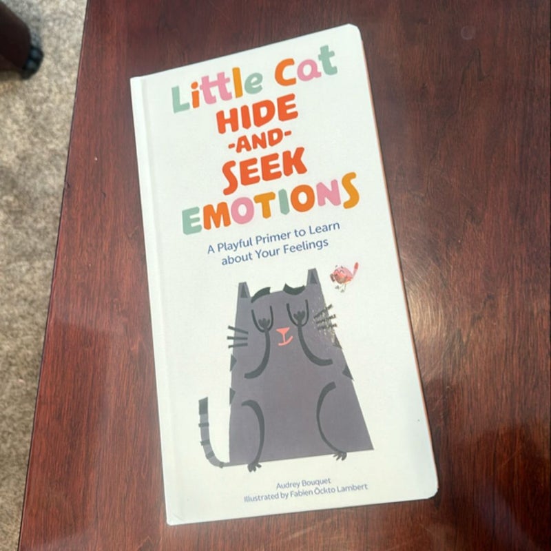 Little Cat Hide-And-Seek Emotions