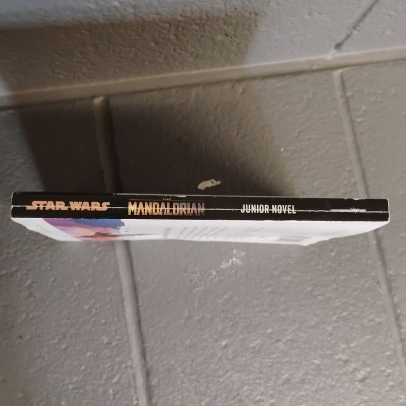 Star Wars: the Mandalorian Junior Novel