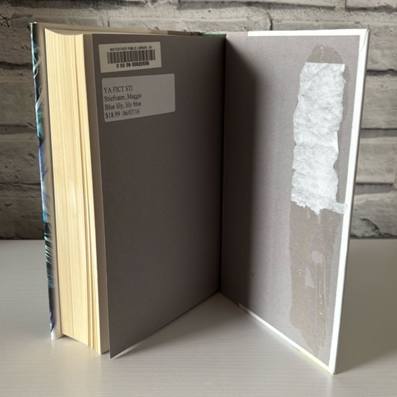 Blue Lily, Lily Blue