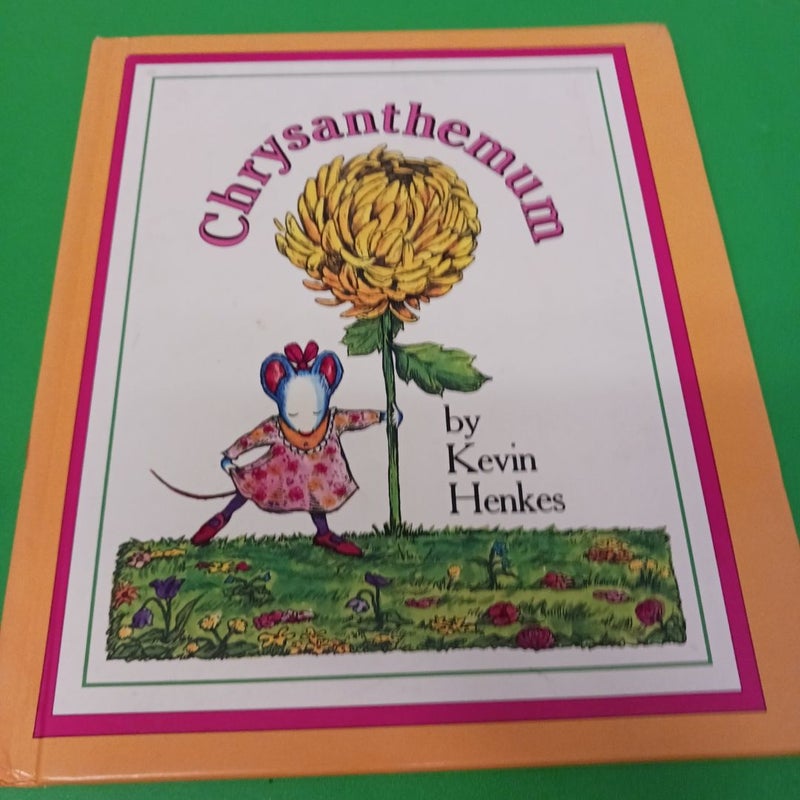 Chrysanthemum 