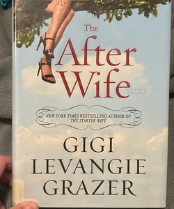 The After Wife