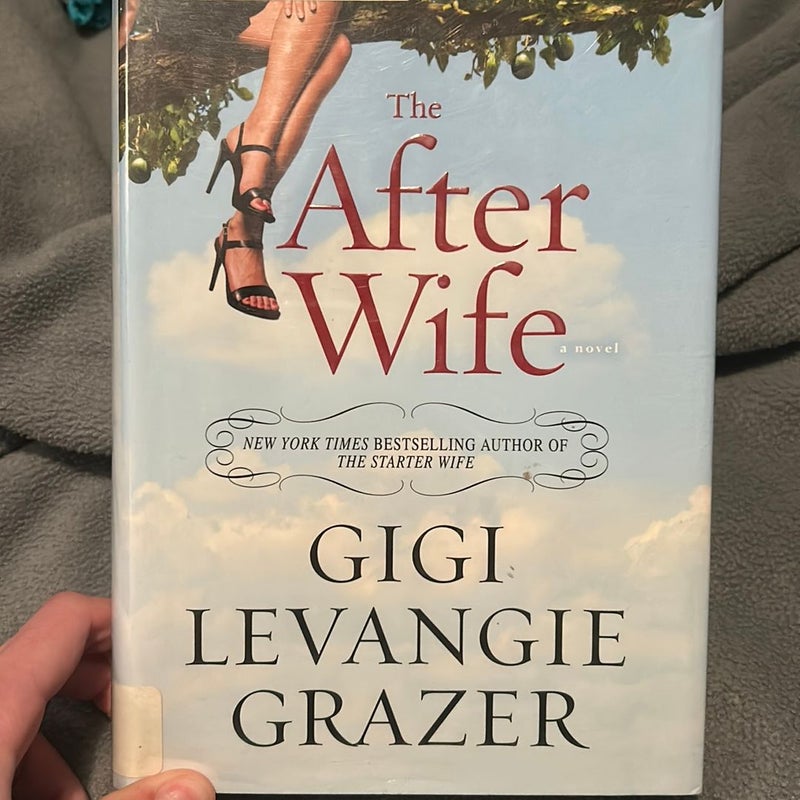 The After Wife