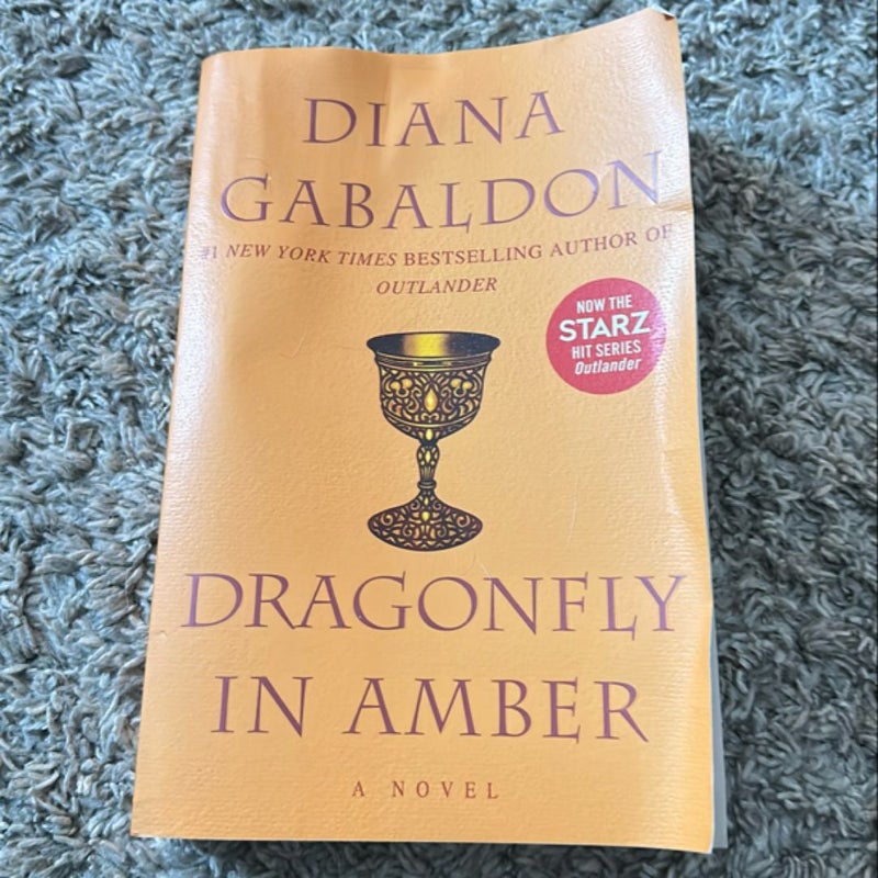 Dragonfly in Amber