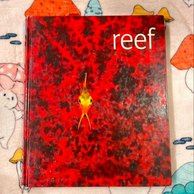 Reef