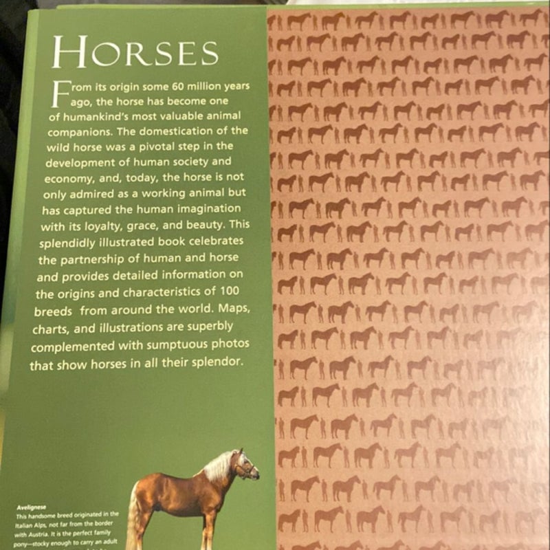 Horses