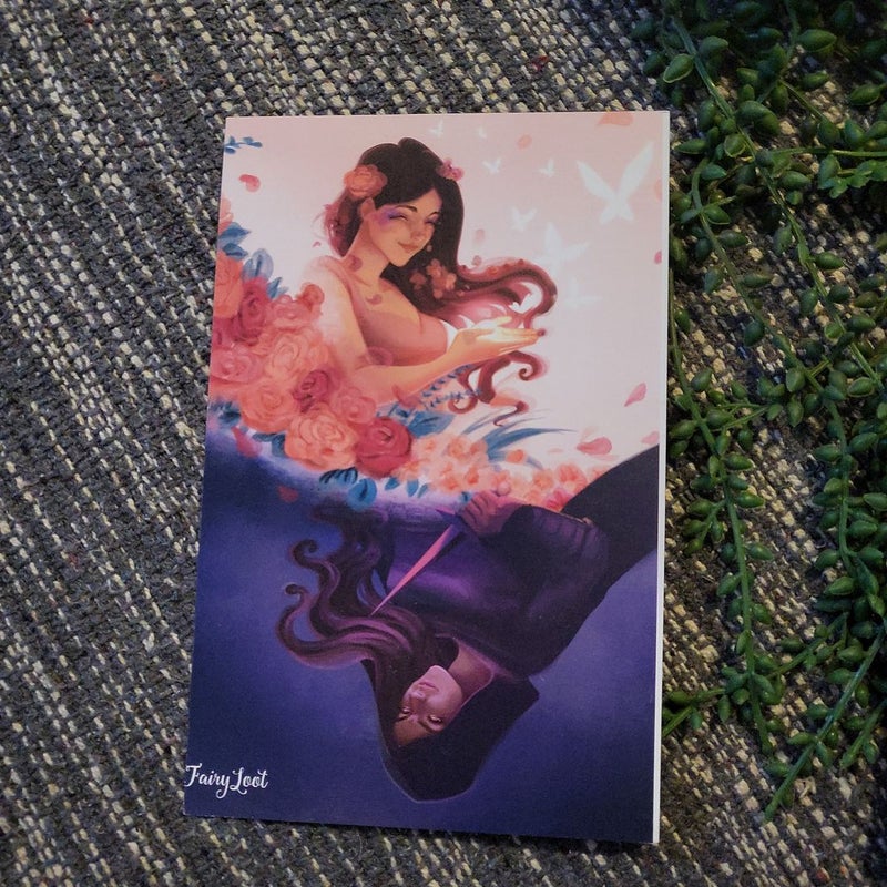 Fairyloot Art Prints and Author Letters 