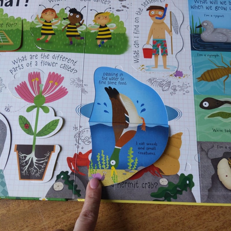 Lift-The-Flap Questions and Answers about Nature IR