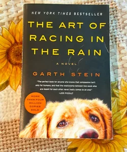 The Art of Racing in the Rain