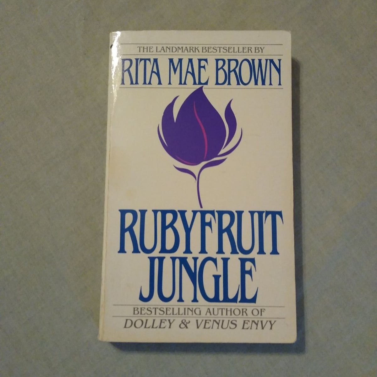 Rubyfruit Jungle by , Paperback | Pangobooks