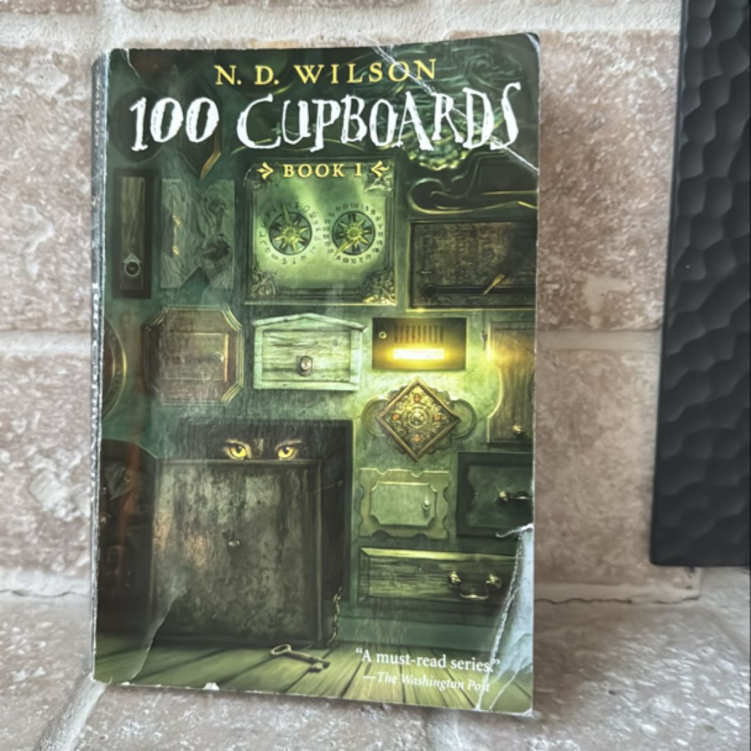 100 Cupboards (100 Cupboards Book 1)