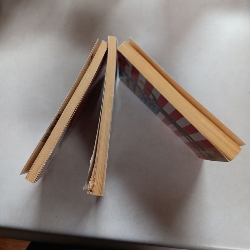 3 BOOKS - JUVENILE CHAPTER BOOKS