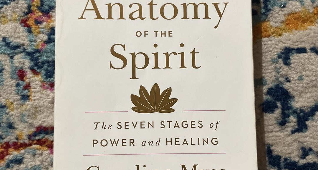 Anatomy of store the spirit