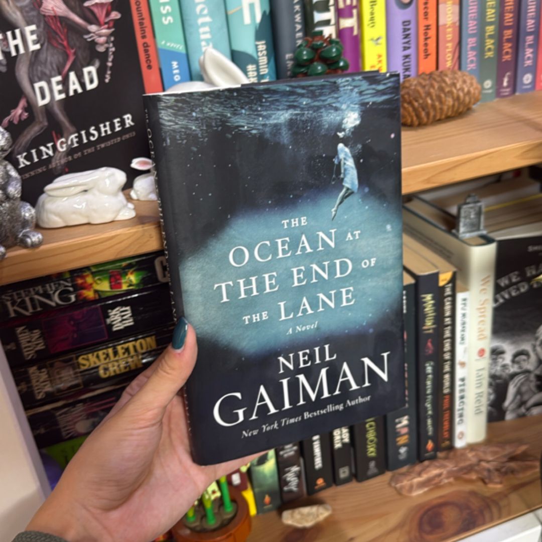 The Ocean at the End of the Lane