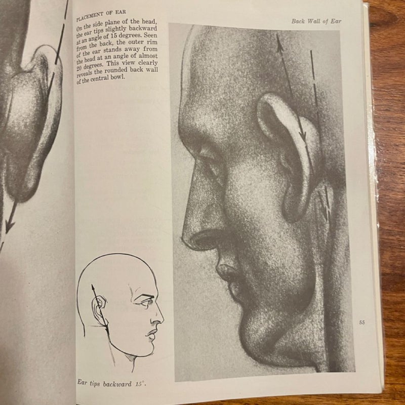 Drawing the Human Head