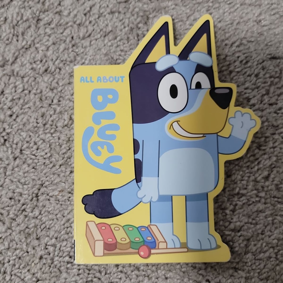 All about Bluey