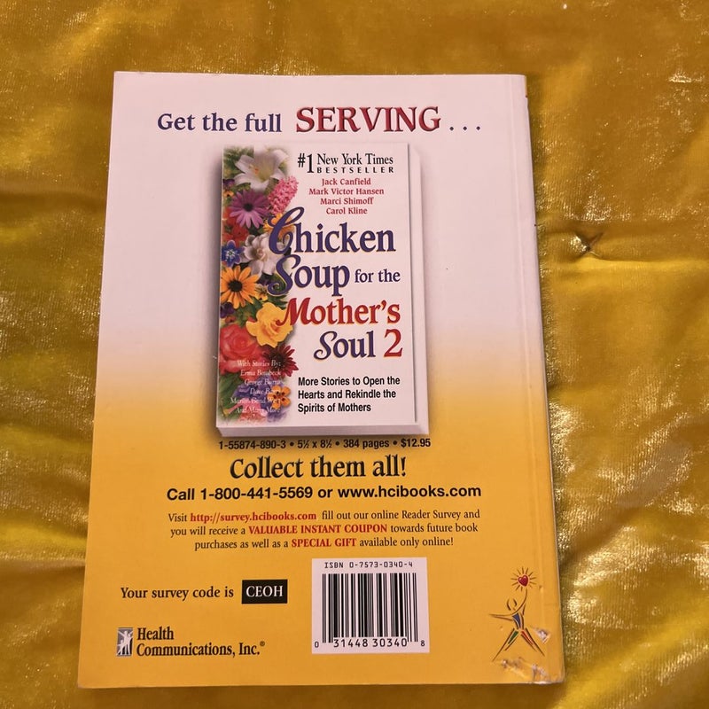 A Taste of Chicken Soup for the Mother’s Soul 2
