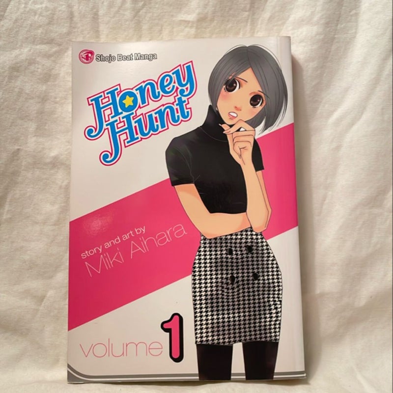 Honey Hunt, Vol. 1